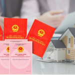 Thiết kế chưa có tên (29)