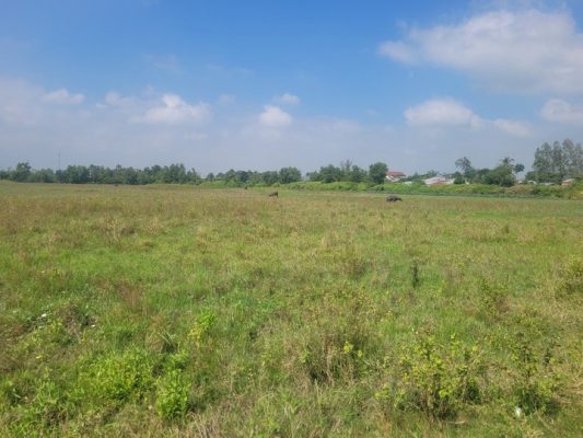 đất bỏ hoang