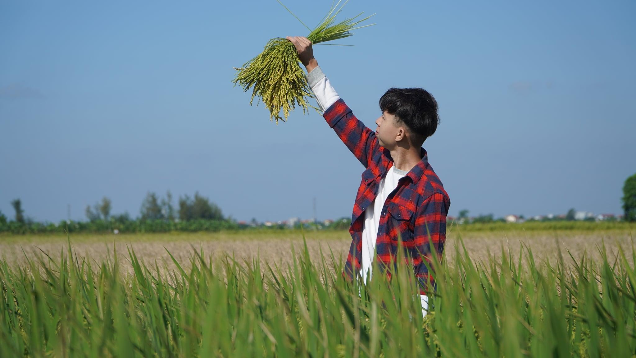 về quê làm việc