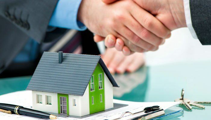 Quy định về nuôi thú cưng